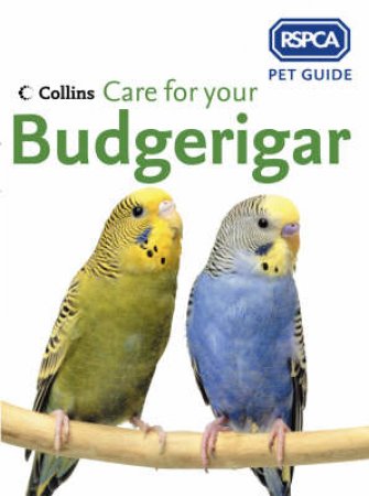 RSPCA: Care For Your Budgerigar by Unknown