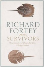 Survivors Stories of Horseshoe Crabs Velvet Worms and Other Living Fossils
