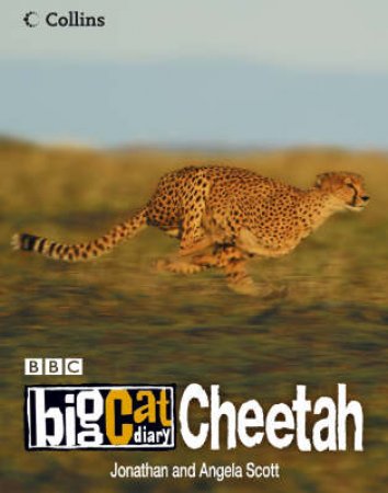 Big Cat Diary: Cheetah by Jonathan & Angela Scott