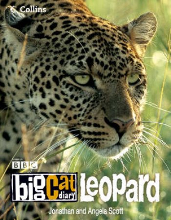 Big Cat Diary: Leopard by Jonathan & Angela Scott