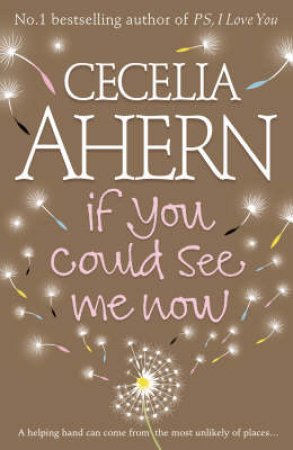 If You Could See Me Now by Cecelia Ahern