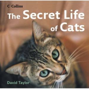 The Secret Life Of Cats by David Taylor