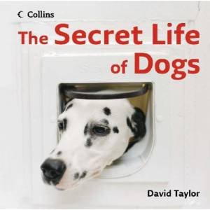 The Secret Life Of Dogs by David Taylor