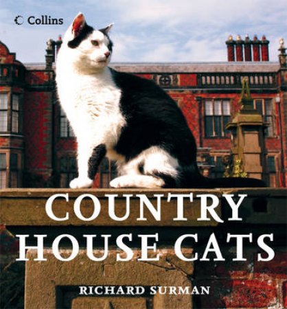 Country House Cats by Richard Surman