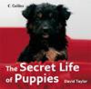 The Secret Life Of Puppies by David Taylor