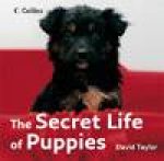 The Secret Life Of Puppies