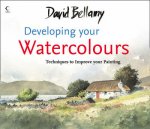 David Bellamys Developing Your Watercolour