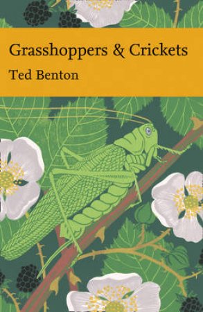 Grasshoppers and Crickets by Ted Benton