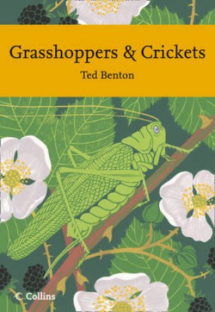 Grasshoppers and Crickets by Ted Benton
