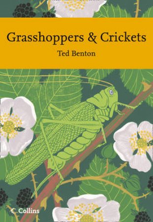 Grasshoppers and Crickets by Ted Benton