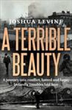 Terrible Beauty A Journey into Conflict Hatred and Hope Irelands Troubles Laid Bare