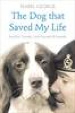 Dog That Saved My Life Incredible True Stories of Canine Loyalty