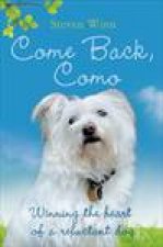 Come Back Como Winning the Heart of a Reluctant Dog