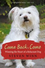 Come Back Como Winning the Heart of a Reluctant Dog