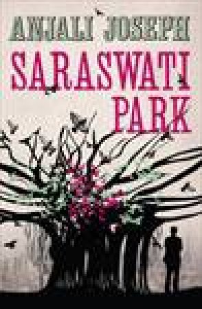 Saraswati Park by Anjali Joseph