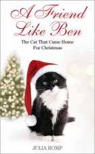 A Friend Like Ben The Cat That Came Home For Christmas