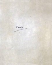 Crash A Special Edition