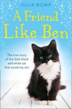 A Friend Like Ben A Mother Desperate For Love A Little Boy Unable to Show It The Cat That Brought Them Together