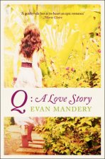 Q A Love Story