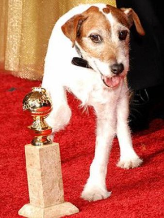 Uggie, The Artist: My Story by Uggie