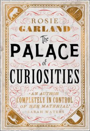 The Palace Of Curiosities by Rosie Garland