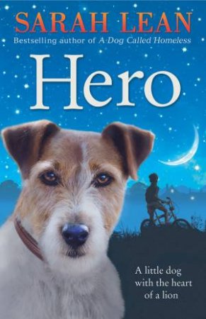 Hero by Sarah Lean