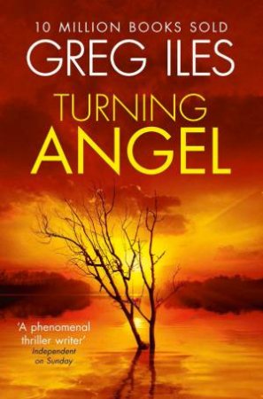 Turning Angel by Greg Iles