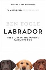 Labrador The Story Of The Worlds Favourite Dog