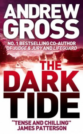 Dark Tide by Andrew Gross