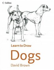 Learn To Draw  Dogs