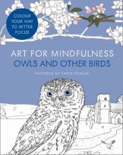 Art For Mindfulness Owls And Other Birds