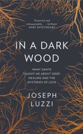 In a Dark Wood: What Dante Taught Me About Grief, Healing, and theMysteries of Love by Joseph Luzzi