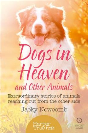 Dogs in Heaven and Other Animals: Extraordinary Stories of Animals Reaching Out From the Other Side by Jacky Newcomb