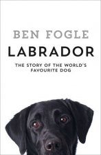 Labrador The Worlds Favourite Dog