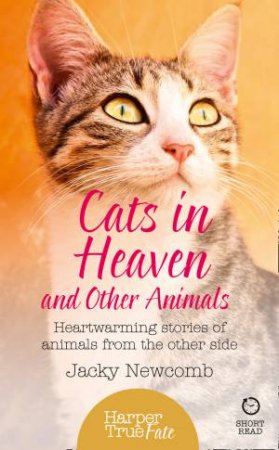 Cats In Heaven And Other Animals by Jacky Newcomb