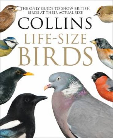 Collins Life-Size Birds: The Only Guide to Show British Birds at theirActual Size by Paul Sterry