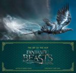 The Art Of The Film Fantastic Beasts And Where To Find Them