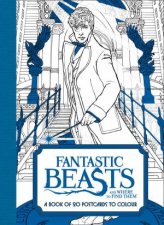 Fantastic Beasts And Where To Find Them A Book Of 20 Postcards To Colour