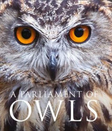 A Parliament Of Owls by Mike Unwin & David Tipling