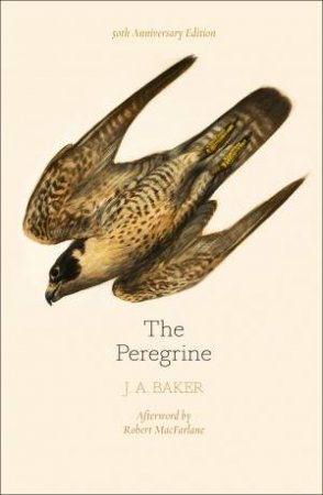 The Peregrine: 50th Anniversary Edition: Afterword By Robert Macfarlane