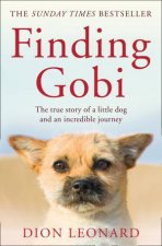 Finding Gobi The True Story Of A Little Dog And An Incredible Journey