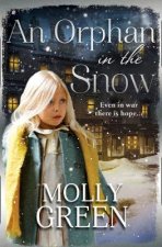 An Orphan In The Snow