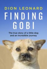 Finding Gobi The True Story Of A Little Dog And An Incredible Journey