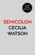 Semicolon How A Misunderstood Punctuation Mark Can Improve Your Writing Enrich Your Reading And Even Change Your Life