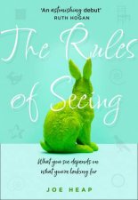 The Rules Of Seeing