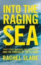 Into The Raging Sea ThirtyThree Mariners One Megastorm and the Sinking of the El Faro