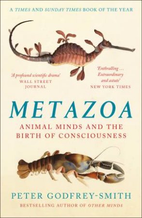 Metazoa: Animal Minds And The Birth Of Consciousness by Peter Godfrey-Smith