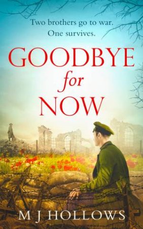 Goodbye For Now by M J Hollows