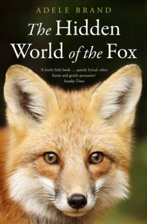 The Hidden World Of The Fox by Adele Brand