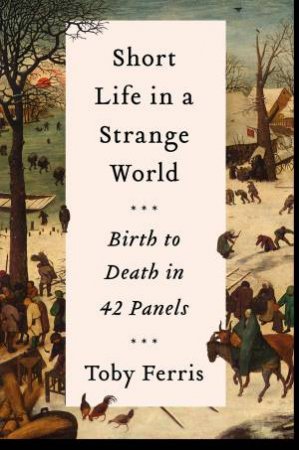 Short Life In A Strange World: Birth To Death In 42 Panels by Toby Ferris